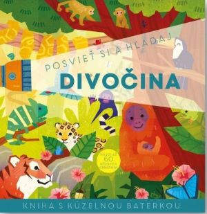 Divočina